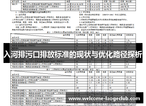 入河排污口排放标准的现状与优化路径探析
