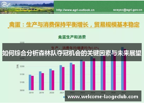 如何综合分析森林队夺冠机会的关键因素与未来展望