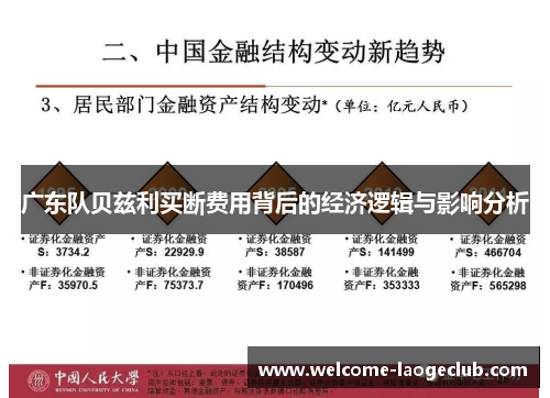 广东队贝兹利买断费用背后的经济逻辑与影响分析