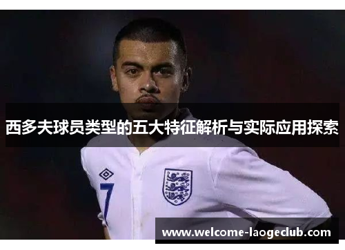 西多夫球员类型的五大特征解析与实际应用探索